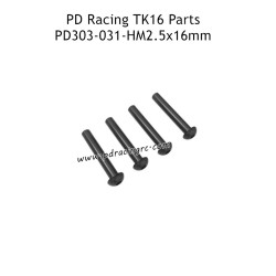 PD Racing TK16 RC Truck Parts HM2.5x16mm B Head Hex Screw PD303-031