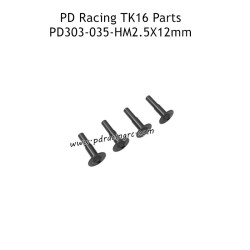 PD Racing TK16 RC Truck Parts HM2.5X12mm Meson Head Hex Screw PD303-035
