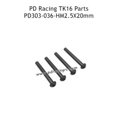 PD Racing TK16 RC Truck Parts HM2.5X20mm B Head Hex Screw PD303-036