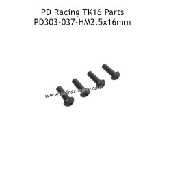 PD Racing TK16 RC Truck Parts HM2.5X6mm B Head Hex Screw PD303-037